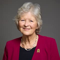 Baroness Hollins